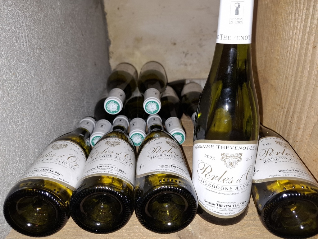 Demi-bouteille Bourgogne Aligoté "Perles d'Or" 2023